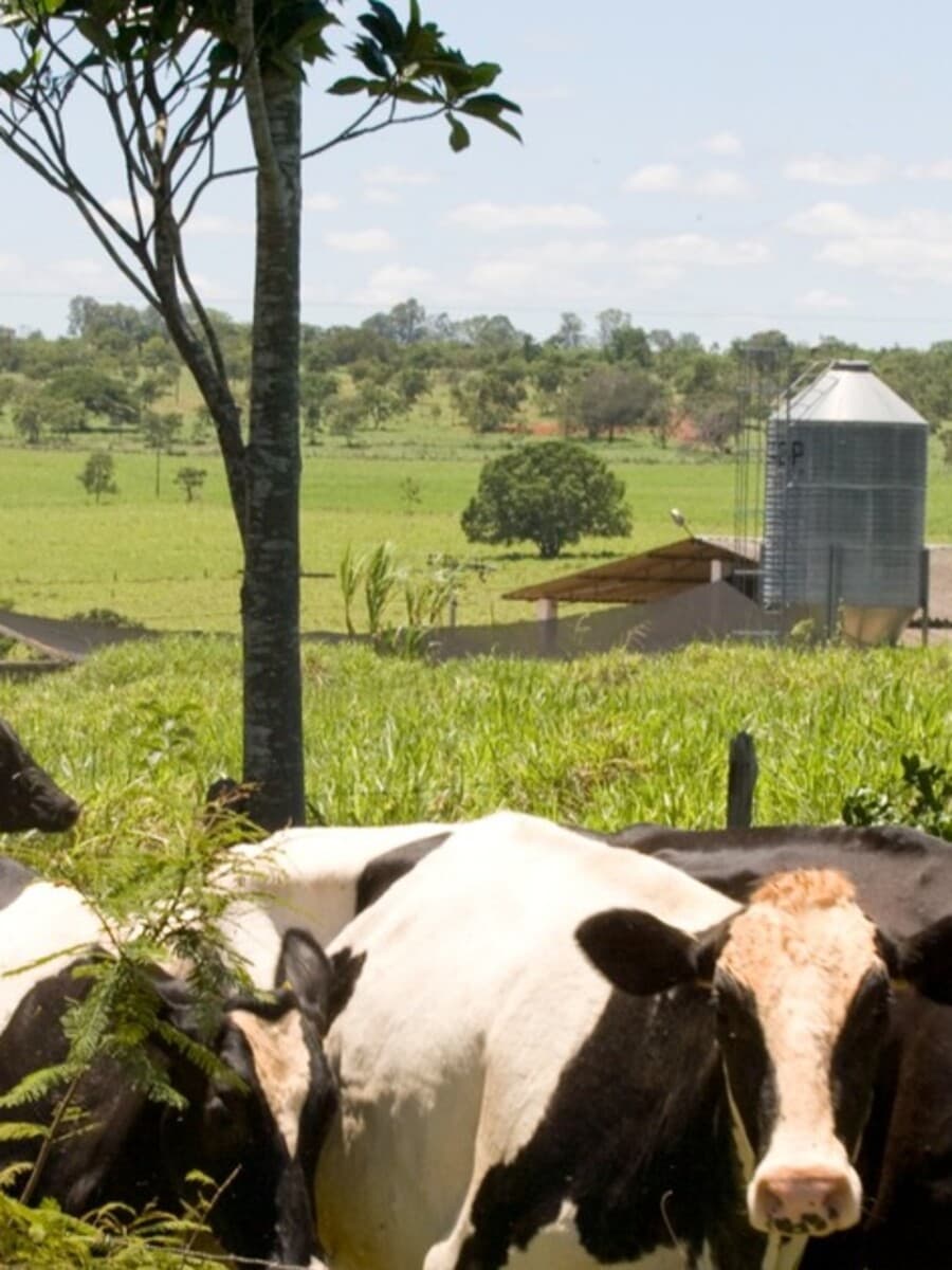 Foto da matéria publicada pelo Estadão